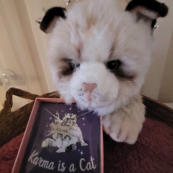 Taylor Swift " Cat Lady" inspired "KARMA" Plush Realistic Cat Gift Basket Bundle - Picture 1 of 6